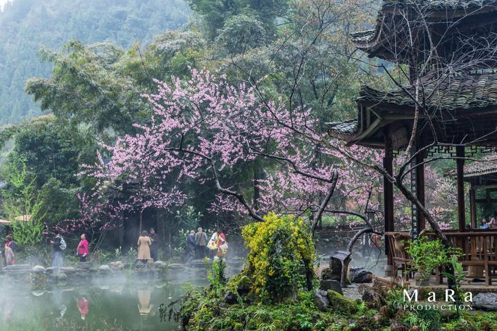 逃出魔法宫